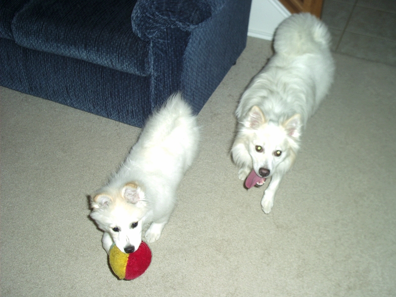 Samantha and Sno 07.bmp