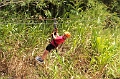 20190422 Belize Zip Line